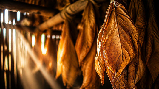 Note Deep Dive: Tobacco — Smoke, Honey and Nostalgia