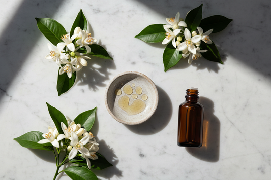 Note Deep Dive: Neroli — The Blossom That Smells Like a Royal Wedding